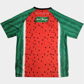 Alternative view of Maillot Palestine Special Edition 2025 2026 Pastèque